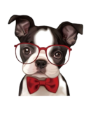 Dog iron on heat transfers