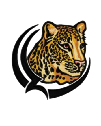 Cheetah design embroidery patches