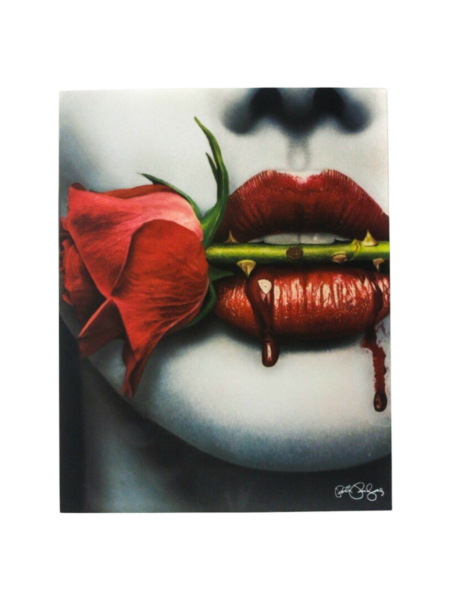 Rose Lip Iron on Heat transfer screen printed