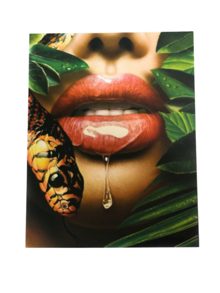 Snake lip screen print heat transfer 