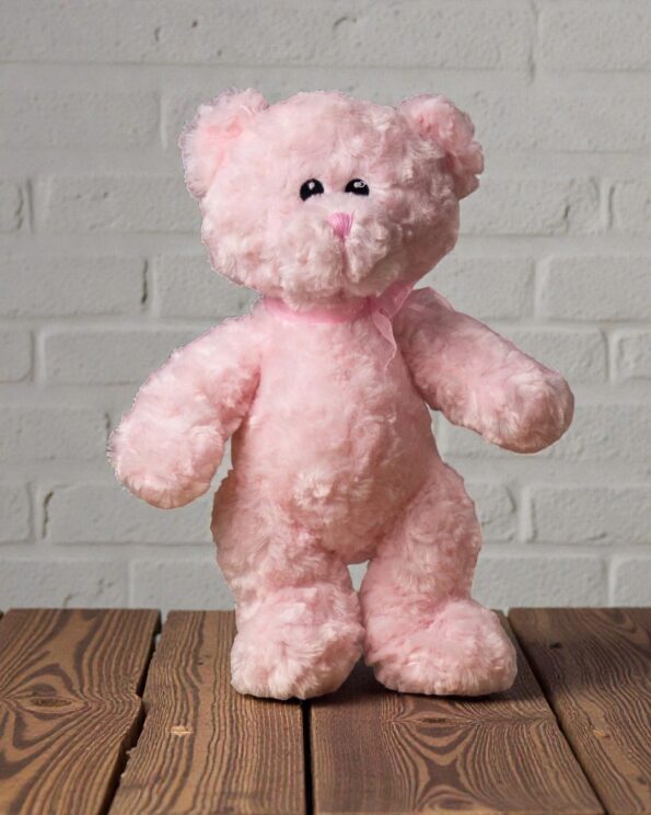 Custom Name text Classic Baby Chenille Bears