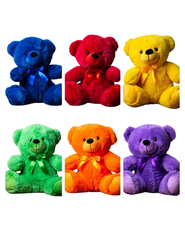 Custom Name text 9" Rainbow teddy Bear