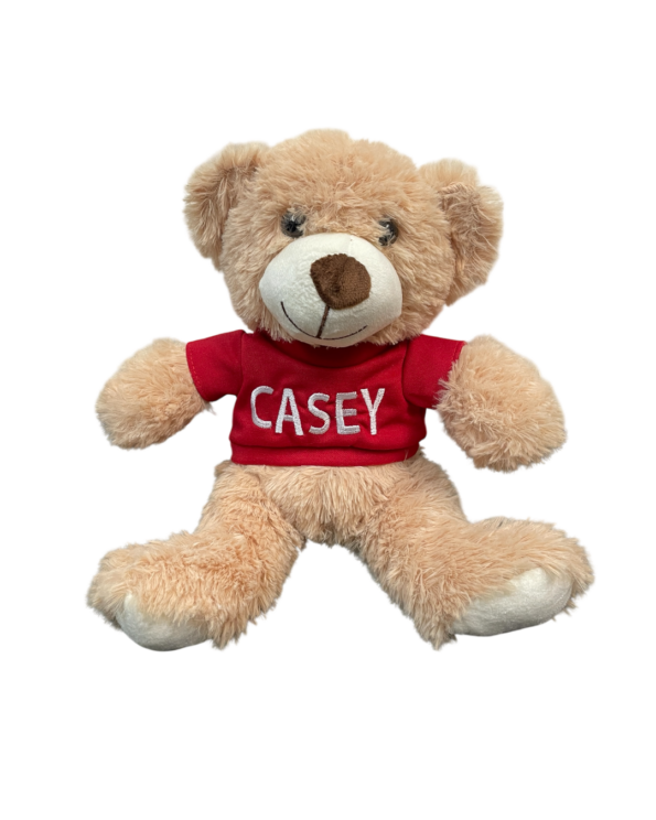 Custom Text Stuffed Bear 14" cozy plush bear