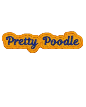 Sigma Gamma Rho Patches