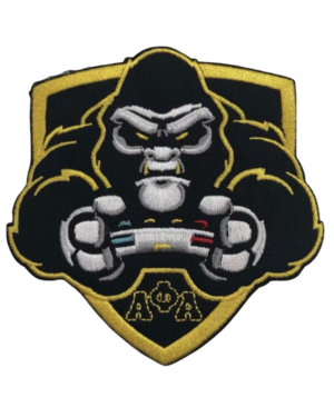 alpha phi alpha patches