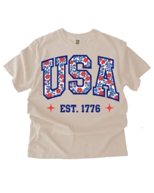 4th of July heat transfers